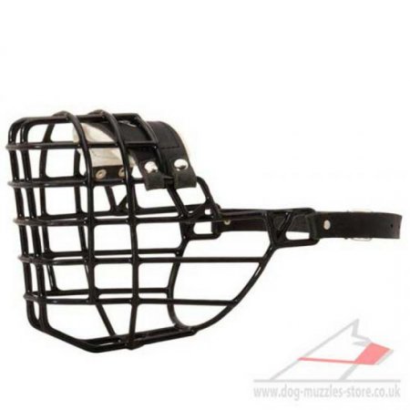 Labrador Basket Muzzle for Dog to Wear in Heat and Frost