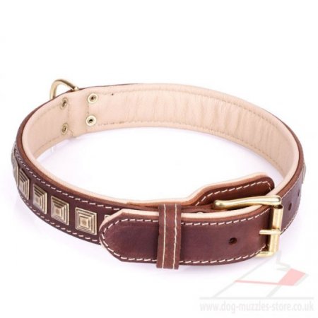 Alluring Brown Leather Dog Collar “Pyramid” With Adornment