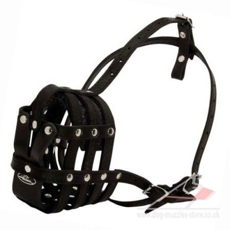 XL Bully Dog Muzzle Basket Real Leather