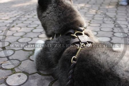 Black Padded Dog Harness For Husky Puppy Daily Use