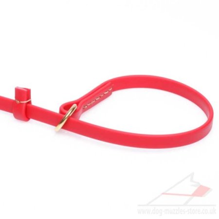 Red Dog Leash and Collar Choker Combo for Large and Small Dogs