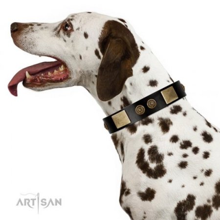 NEW! Black Leather Collar For A Dog "Chicci-Glam" FDT Artisan