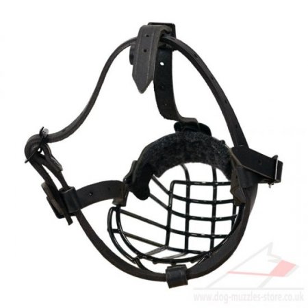 Boxer Basket Muzzle for Dogs in 30 Sizes for Individual Comfort