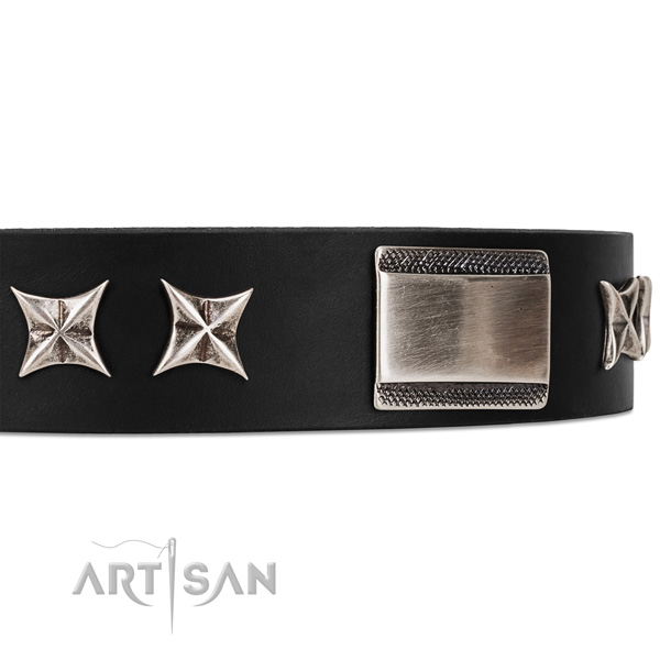 Artisan dog collar with star studs