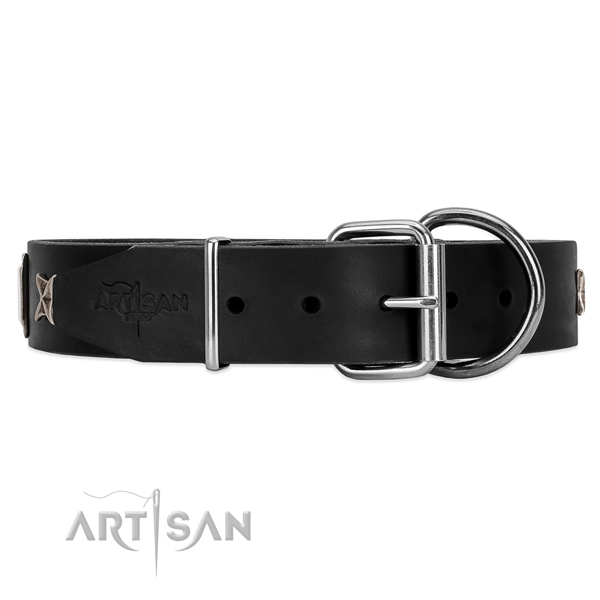 buy Artisan studded dog collar online