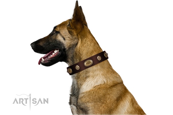 Artisan dog collars for Belgian Malinois