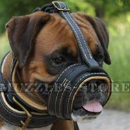 short nosed dog muzzle