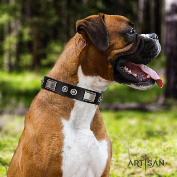 Artisan leather studded dog collar for Boxer