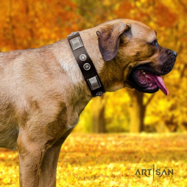 Artisan chocolate brown dog collar for Cane Corso