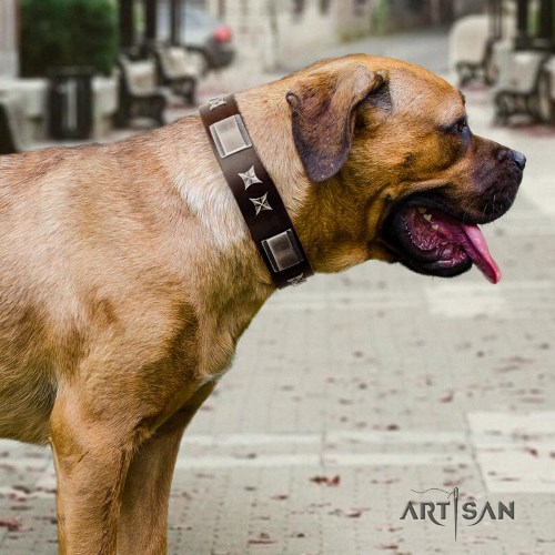 Artisan chocolate brown dog collar for Cane Corso