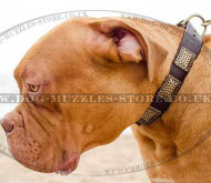 Dogue De Bordeax Daily Walking Dog Collar Wide Leather