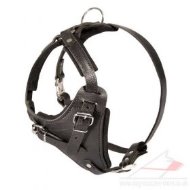 Agitation Training Padded Leather Dog Harness UK Pro Design