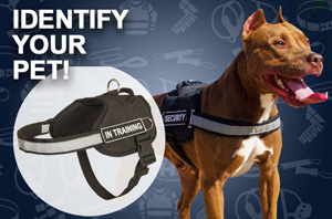 dog collar with handle