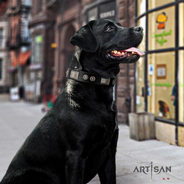 Artisan large wide leather dog collar for Labrador