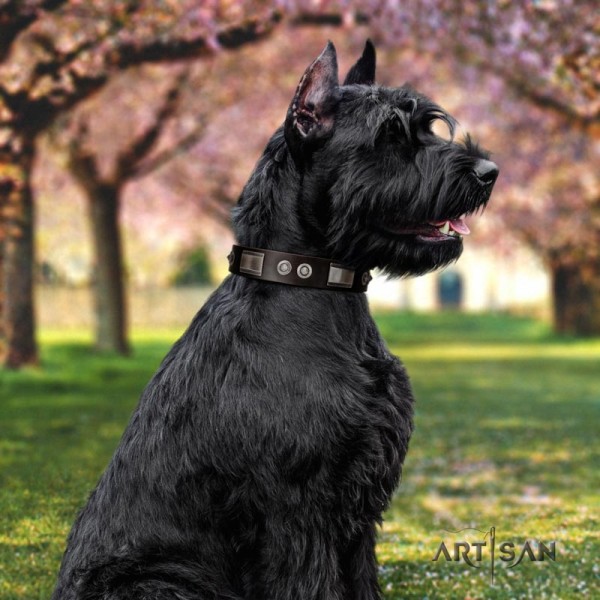 Artisan Dark brown dog collar for Riesenschnauzer
