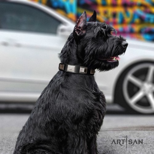 buy soft leather dog collar for Riesenschnauzer Artisan