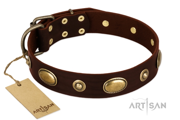 wide brown leather dog collar by Artisan
