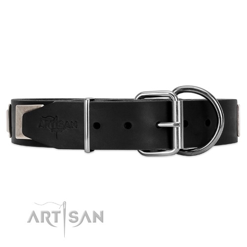 Artisan dog collar with buckle closure choose online