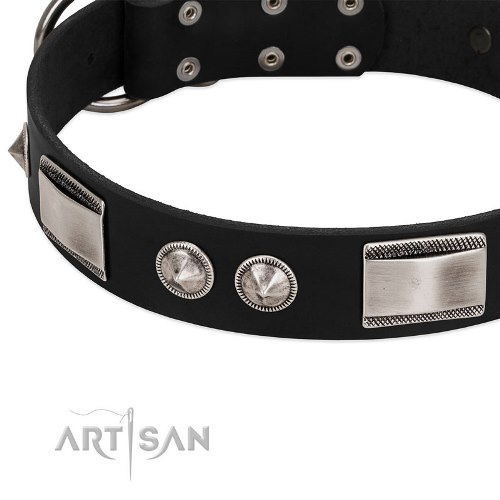 black leather dog collar with studs FDT Artisan