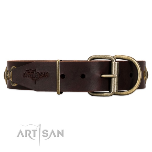 dog collar with metal buckle Artisan UK