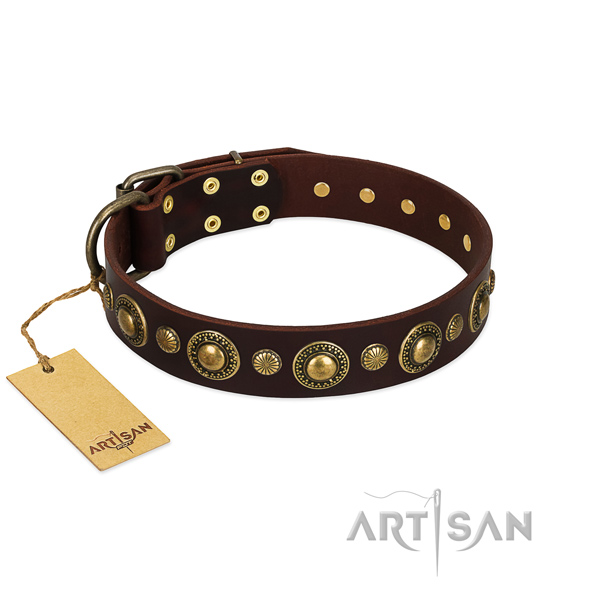 brown leather dog collar with brass buy UK