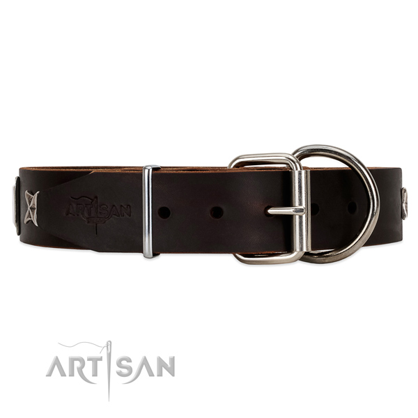 Artisan brown leather dog collar in the UK