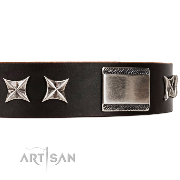 buy chocolate brown dog collar Artisan