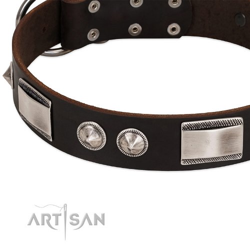 dark brown leather dog collar FDT Artisan
