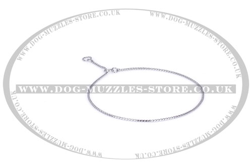 dog choke chain collar online