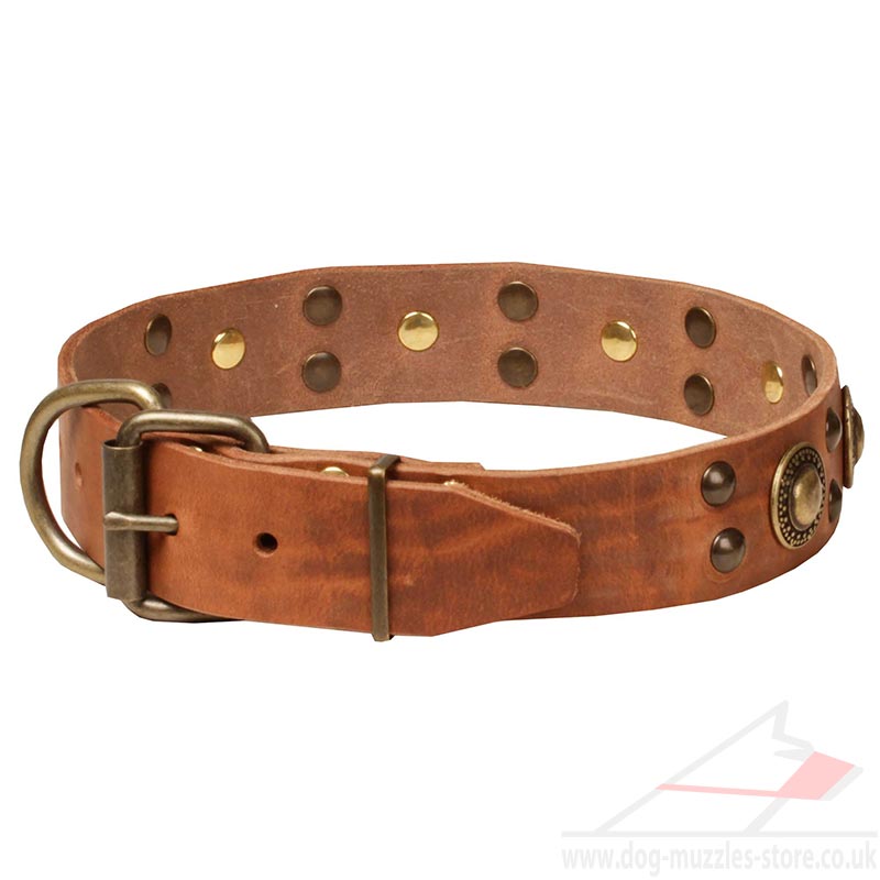 Luxury Leather Dog Collar | Designer Dog Collar NEW 2015 - £45.90