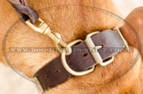 Leather Dog Collar for Dog De Bordo