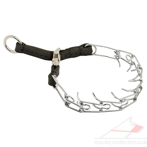 dog prong collar