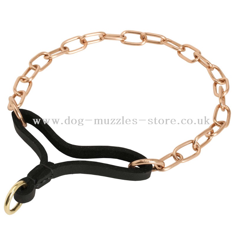 dog belt chain
