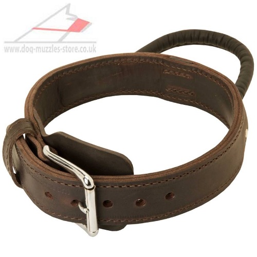 2 Ply Leather Dog Collar wit Handle for Husky Training
