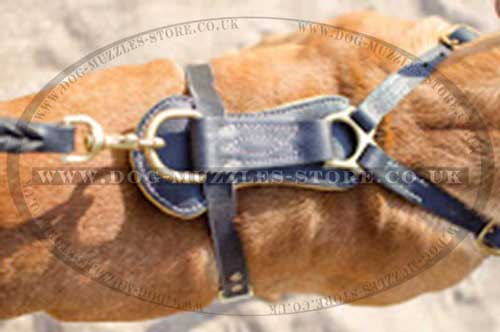 luxury dog harness