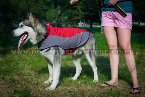 Husky Dog Jacket Waterproof and Warm