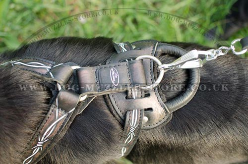 German Shepherd Trainign Dog Harness with Handle
