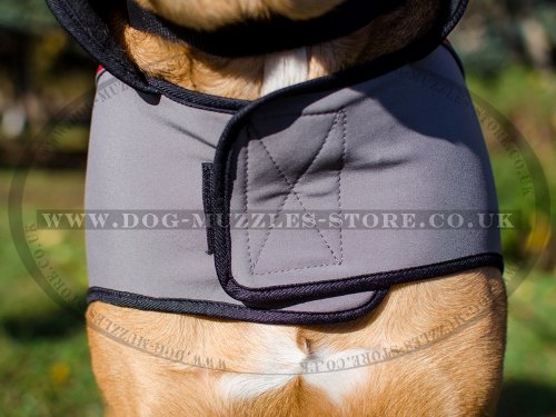Warm Dog Harness Coat
