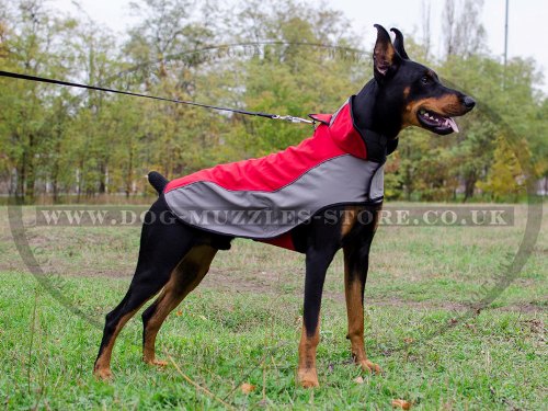 Warm Reflective Dog Coat for Doberman