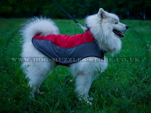 Waterproof and Warm Dog Coat for Samoyed