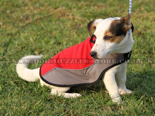 Waterproof Dog Coat XS for Jack Russel Terrier