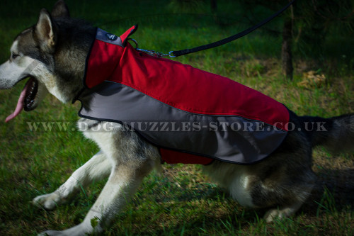 Waterproof Dog Jacket for Husky