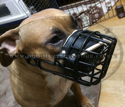 Pitbull Cage Muzzle for Large Dogs