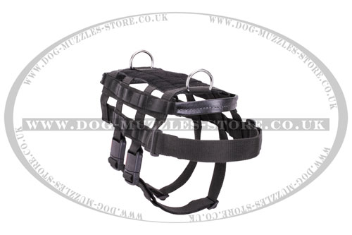 professional dog harness online UK