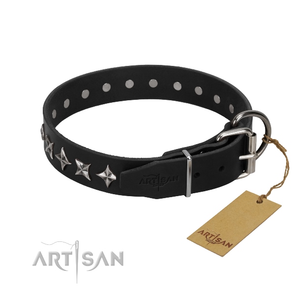 durable leather dog collar online in UK