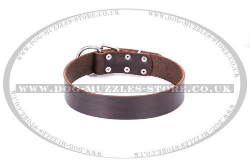 chocolate brown leather dog collar