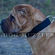 Strong and Light Nylon Dog Collar with Metal Buckle for Shar Pei