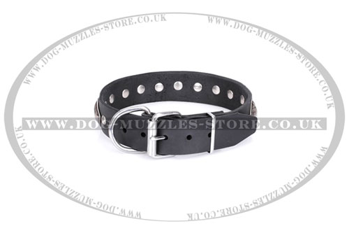 good quality dog collar by FDT Artisan