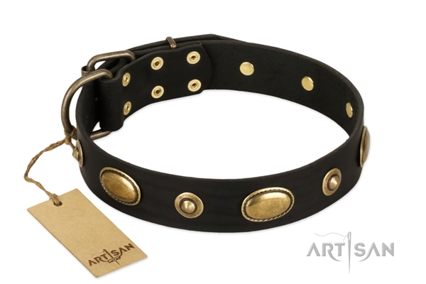 Artisan black leather dog collar with brass