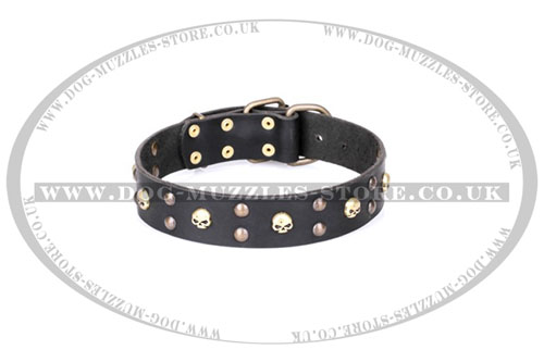 hard rock dog collar from Artisan